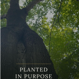 Planted in Purpose: A Life Fully Rooted